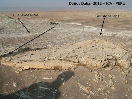 Dakar damages on fossils in Ica www.perucycling.com